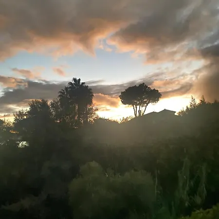 U-nique Benajarafe *