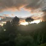 U-nique Benajarafe *