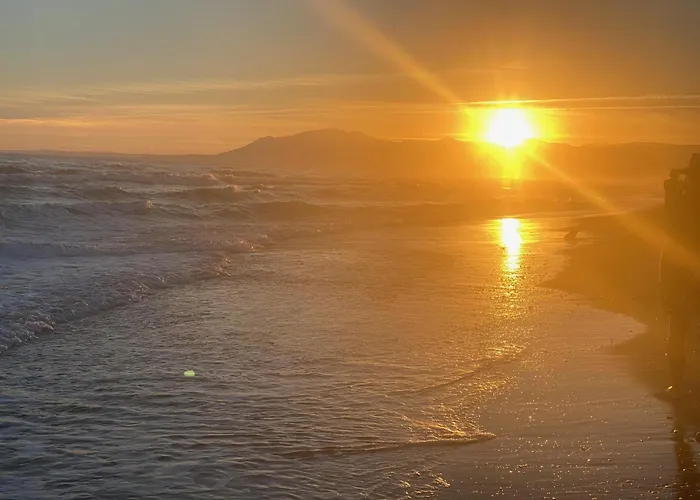 U-nique Benajarafe *